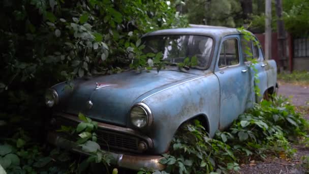 古い放棄された車は植生で生い茂っていた — ストック動画