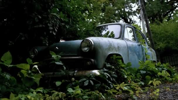 Den Gamla Övergivna Bilen Var Överväxt Med Vegetation — Stockvideo