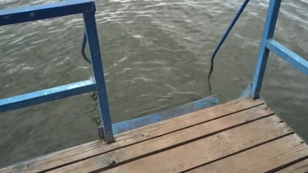 Lago in una chiara giornata estiva contro la foresta, con un molo in primo piano — Video Stock