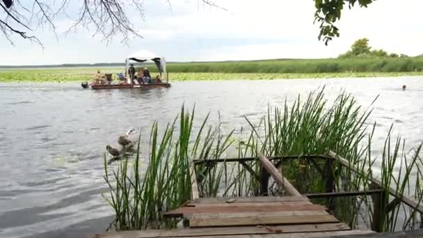 Jezero za jasného letního dne proti lesu, s mola v popředí — Stock video