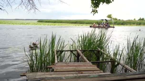 Озеро в ясний літній день проти лісу, з пірсом на передньому плані — стокове відео