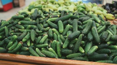 Tahta kutuda salatalık. Saman ile ahşap kutu içinde taze yeşil salatalık