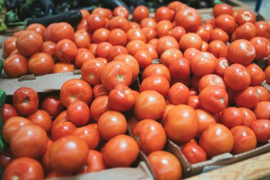 Tahta kutuda domatesler. Taze kırmızı domates