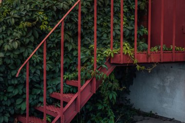 Yemyeşil yeşillikler arasında kırmızı metal merdiven