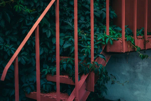 Escalier en métal rouge au feuillage vert luxuriant — Photo