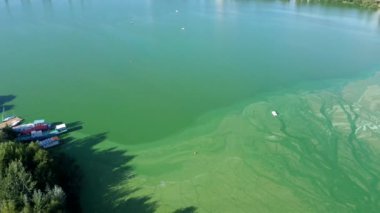 Gölün durgun suları yazın çiçek açtı. Sudaki sıcaktan dolayı yosunlar çiçek açar. Su parlak yeşile döndü, göldeki alglerin kireç rengi. Suyun yüzeyinde yeşil algler var.
