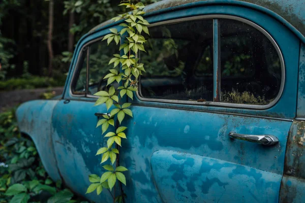 Un coche oxidado abandonado en el depósito de chatarra. Olvidado desechado oxidado viejo coche azul en el desguace — Foto de Stock