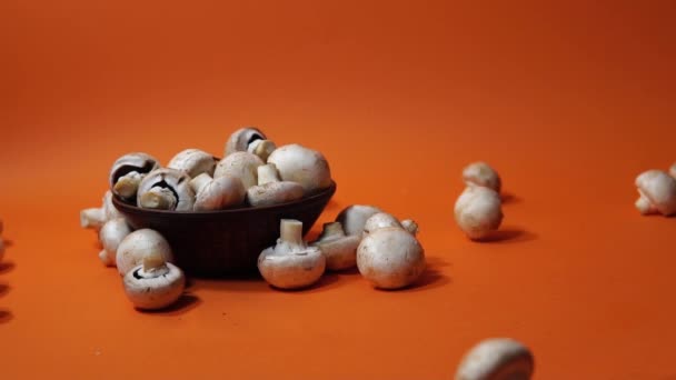 Grzyby w drewnianej misce na pomarańczowym tle. Mały biały czempion w talerzu i rozrzucony w jego pobliżu. — Wideo stockowe