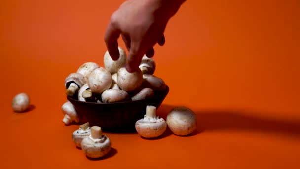 Paddenstoelen in een houten kom op een oranje achtergrond. De kleine witte champignon in een bord en verspreid in de buurt. — Stockvideo