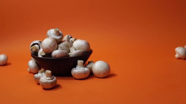 Mushrooms in a wooden bowl on an orange background. The small white champignon in a plate and scattered near it. — Stock Video