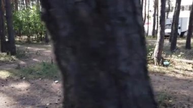 Bahar Ormanı 'nda akıllı telefondan konuşan genç bir kadın 