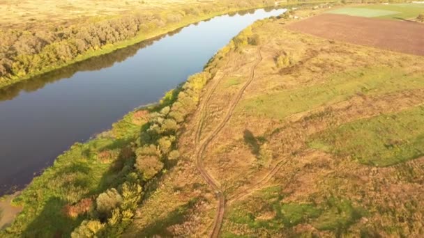 Stor Flod Solig Dag Mot Bakgrund Grön Skog — Stockvideo