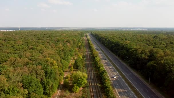 車の空中ビューは 夏には道路上の森の中を移動している — ストック動画