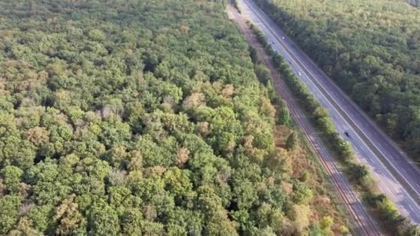 Vista Aérea Los Coches Está Desplazando Por Bosque Carretera Verano — Vídeo de stock