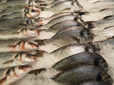 Taze çiğ bir balık buz parçalarıdır. Soğumuş balıklar süpermarketin tezgahında yatıyor, şeffaf bir buzla..