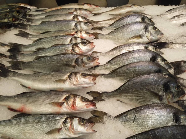 Taze çiğ bir balık buz parçalarıdır. Soğumuş balıklar süpermarketin tezgahında yatıyor, şeffaf bir buzla..