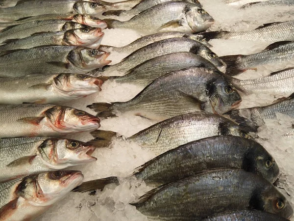 Taze çiğ bir balık buz parçalarıdır. Soğumuş balıklar süpermarketin tezgahında yatıyor, şeffaf bir buzla..