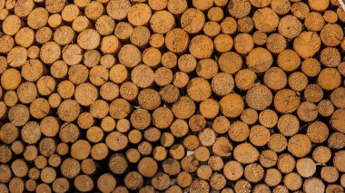 Tahta kütükleri katmanlar halinde kesin. Temiz kesikler ile taze günlükleri düzenlenmiş yığın arka plan