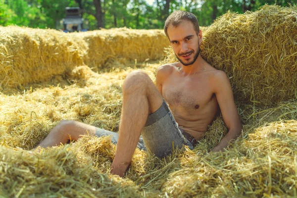 Homem ou macho em shorts deitado em feno, feno depois da colheita, feno agrícola com colheitas. — Fotografia de Stock