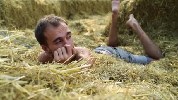 一个年轻英俊的男人 留着苗条的胡子 在阳光灿烂的日子里睡在干草上 — 图库视频影像