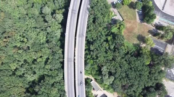 Luchtfoto van auto 's bewegen door het bos op de weg in de zomer. — Stockvideo