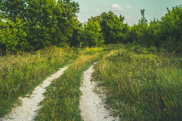 Smalle weg door groen bos. Smalle kronkelweg door groene struiken en bomen tegen bewolking — Stockfoto