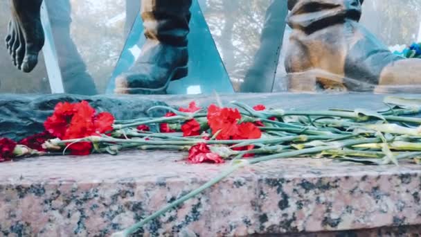 枯萎和新鲜的康乃馨在纪念碑上. — 图库视频影像