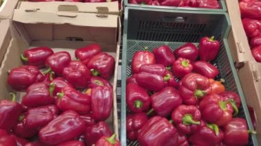 Süpermarket tezgahındaki kutularda kırmızı biber. Tarım kavramı, sağlıklı yaşam tarzı, sağlıklı beslenme ve diyet.
