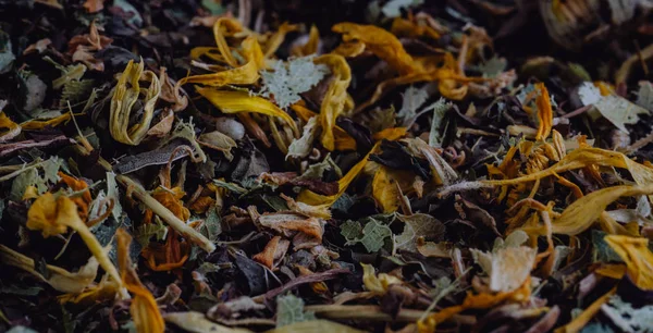 Texture of dry herbal tea with berries and leaves, ingredient drink abstraction background. Texture de tisanes sèches avec des baies — Photo