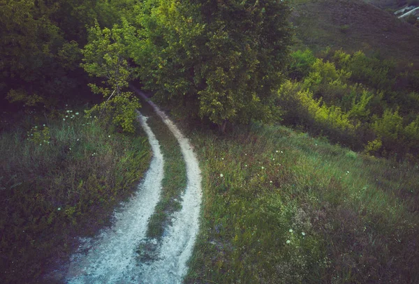 Schmale Straße durch grünen Hain. Schmaler, kurvenreicher Pfad führt durch grüne Büsche und Bäume gegen bewölkte — Stockfoto