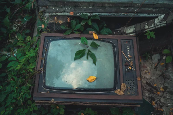 A velha TV foi lançada na rua. A televisão soviética foi sobrecarregada com grama. — Fotografia de Stock