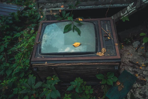 Stary telewizor został wyrzucony na ulicę. Sowiecki telewizor był zarośnięty trawą.. — Zdjęcie stockowe