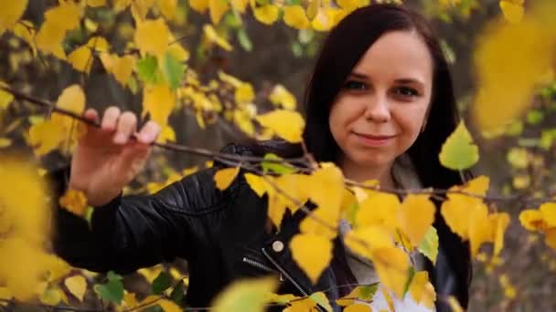El retrato de una bella mujer sonriente se encuentra en el bosque otoñal entre las ramas de árboles con follaje amarillo.. — Vídeo de stock