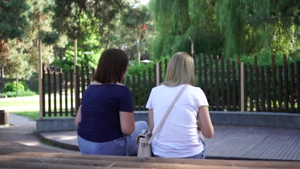 2019年8月25日，俄罗斯沃罗涅日：在阳光灿烂的一天，人们在公园里放松下来。在公园里聊天的女人 — 图库视频影像
