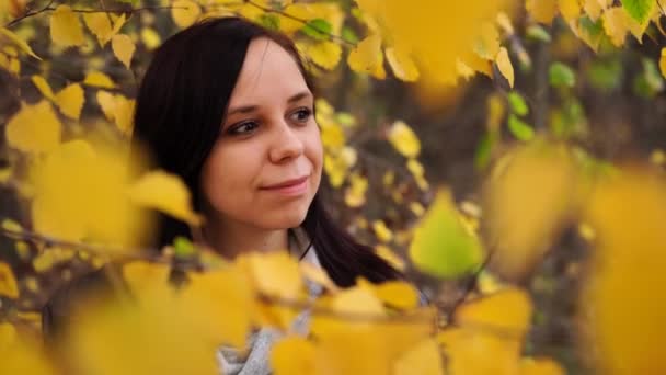 El retrato de una bella mujer sonriente se encuentra en el bosque otoñal entre las ramas de árboles con follaje amarillo.. — Vídeo de stock