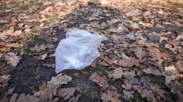 Therme un sac de cellophane dans l'herbe. Pollution de l'environnement. — Video