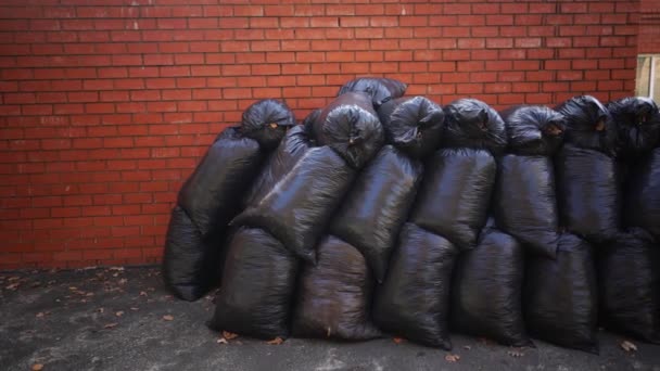 Una gran pila de bolsas de basura en el asfalto cerca de un edificio de ladrillo. El concepto de limpieza y orden en nuestro medio ambiente.. — Vídeo de stock