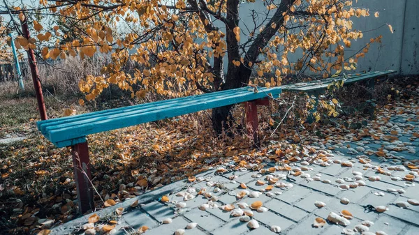 Осенью скамейка в парке, усеянная желтыми листьями — стоковое фото