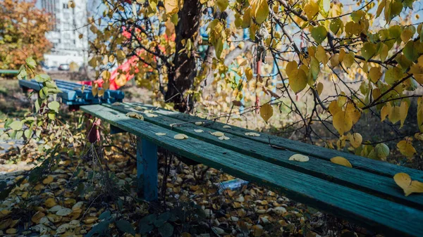 Eine Bank im Park, übersät mit gelben Blättern im Herbst — Stockfoto