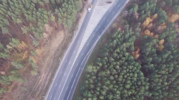 道路の森の中でカラフルな木々に囲まれた。森林景観を通して道路上の車の空中ビュー、トップビュー — ストック動画