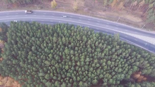 Flygfoto land väg mellan Avenue av träd höst skog landsbygd — Stockvideo