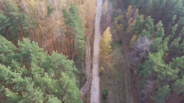 Photographie aérienne route de campagne entre l'avenue des arbres forêt d'automne campagne — Video