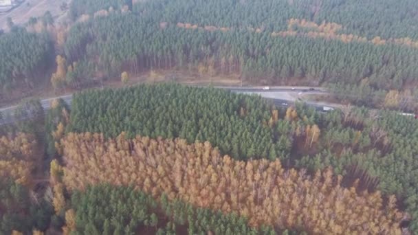 Auto 's rijden op de weg, omringd door groene bomen.. — Stockvideo