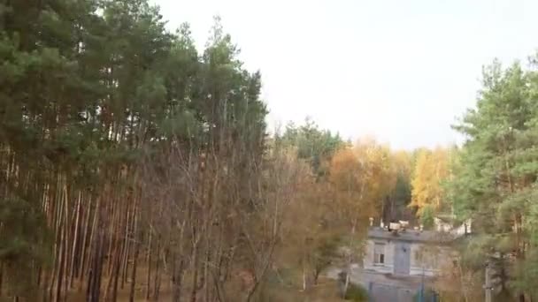 Vista aérea del bosque verde y del pueblo en la distancia en otoño. — Vídeo de stock