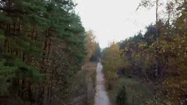 Luchtfoto van de weg omringd door de herfstbomen. Bossen staan op de voorgrond en op de achtergrond zie je een stad. — Stockvideo