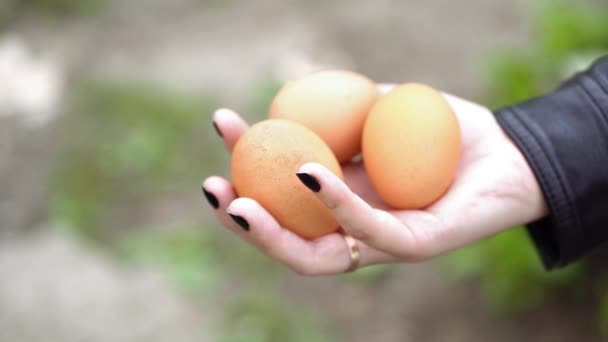 Nahaufnahme Von Selbstgemachten Eiern Frauenhand Weibchen Hält Drei Eier Freien — Stockvideo