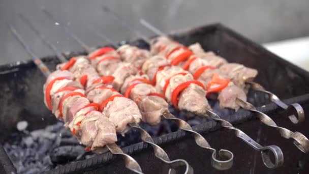 Sluiten Van Rauwe Shashlik Spiesen Sappige Barbecue Roosteren Chargrill Begrip — Stockvideo