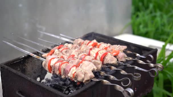 Gros Plan Shashlik Cru Sur Les Brochettes Gril Barbecue Succulent — Video