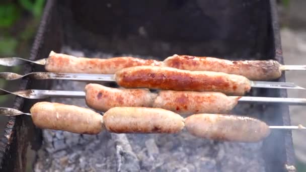 把烤香肠贴在绞架上 在烤肉架上烘烤美味的红葡萄酒 户外野餐的概念 — 图库视频影像