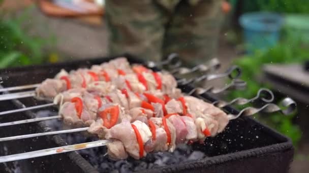 在绞刑架上关闭未经加工的弹壳 肉质烤肉在烤肉架上烘烤 户外野餐的概念 — 图库视频影像